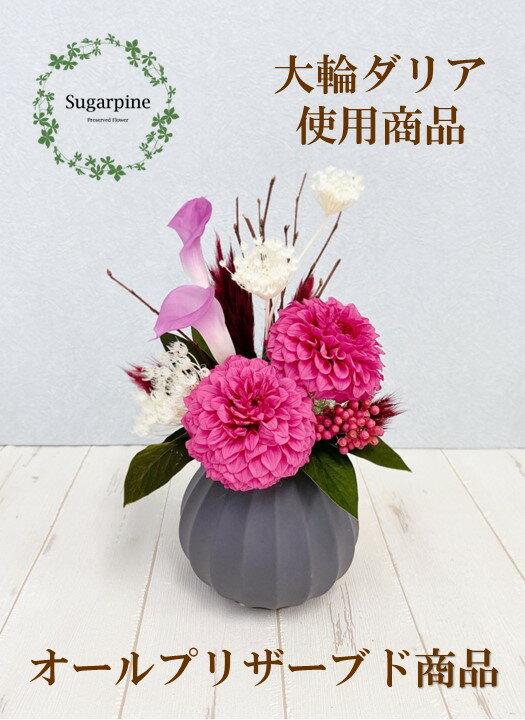 ڤդ뤵Ǽǡۥץꥶ֥ɥեڥ쥤/ȥ٥꡼۽ 奬ѥAJ095-2