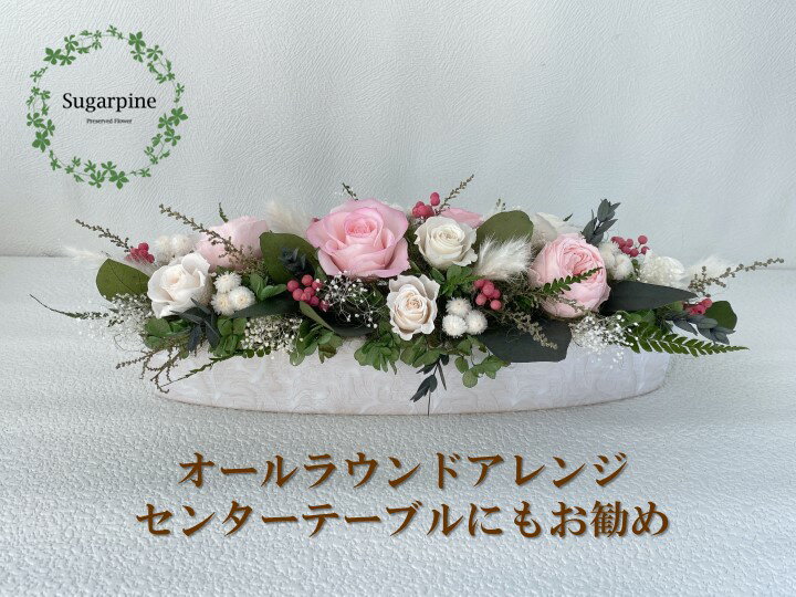 ڤդ뤵Ǽǡۥץꥶ֥ɥեڥץ쥸/ȥԥ󥯡۽ 奬ѥAJ099-1