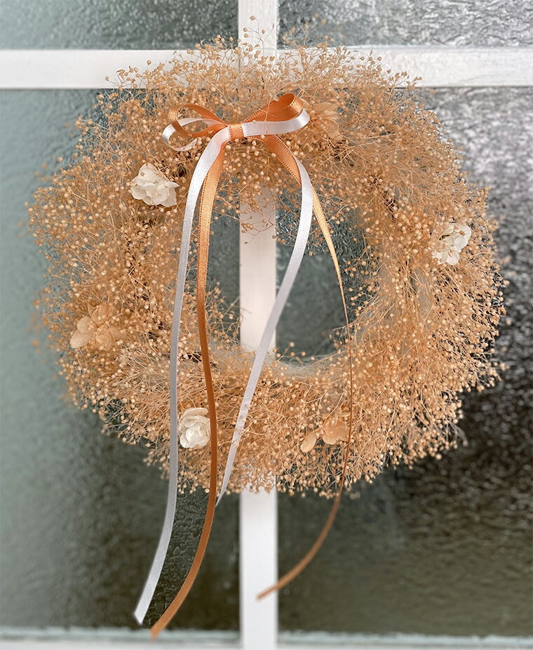 �ڤդ뤵��Ǽ�ǡۥץꥶ���֥ɥե��ڥ��󥸥�/����󥸡۽������� ���奬���ѥ����AJ133-1��