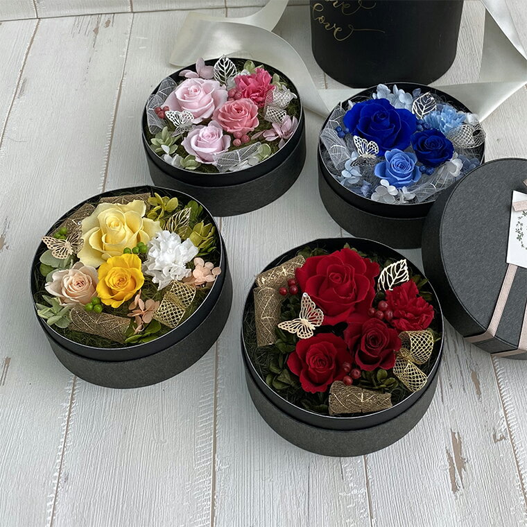 �ڤդ뤵��Ǽ�ǡۥץꥶ���֥ɥե��ڥ��ࡼ��/�֥롼�۽������ԥ��奬���ѥ���(AJ136-1)