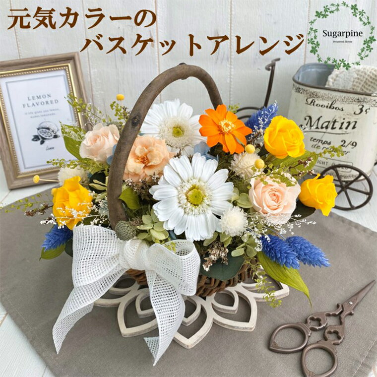 【ふるさと納税】プリザーブドフラワー【ヴィヴィ】 春日部市 シュガーパイン(AJ205-1)