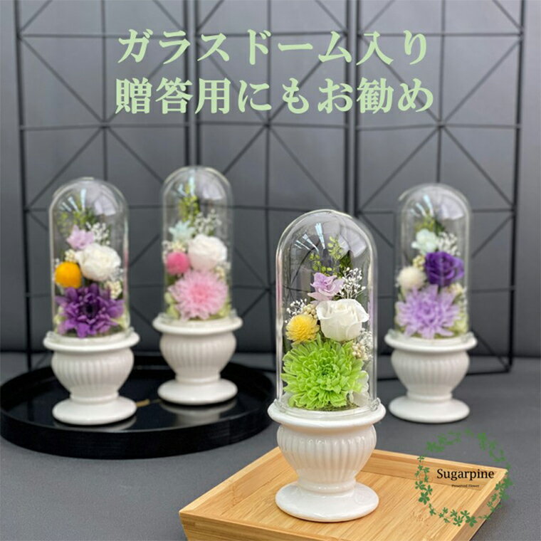 【ふるさと納税】プリザーブドフラワー 和花 緑 春日部市 シュガーパイン(AJ125-1)