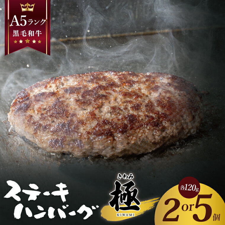 黒毛和牛 A5ランク ステーキハンバーグ 極 120g×5食入[埼玉県 春日部 国産 惣菜 冷凍 湯煎 レンジ調理 レンチン]