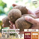 【ふるさと納税】里芋 堀兼の里芋 選べる種類 2.5kg | さといも 里いも 里芋 サトイモ 土付 野菜 旬 新鮮 期間限定 季節限定 根菜類 根菜 煮物 芋...