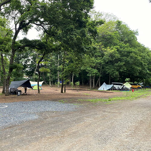 智光山公園キャンプ場 ソロキャンプサイト利用券 / 自然 動物園 植物園 アスレチック 送料無料 埼玉県