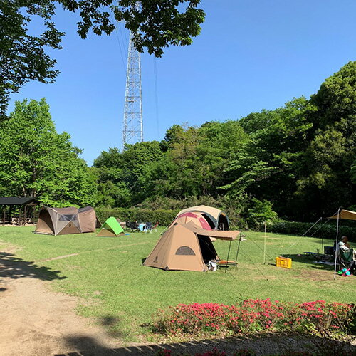 【ふるさと納税】No.269 智光山公園キャンプ場　キャンプサイト利用券 ／ 自然 動物園 植物園 アスレチック 送料無料 埼玉県