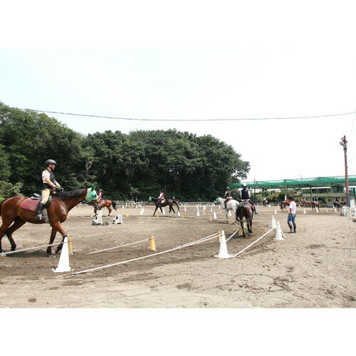 【ふるさと納税】No.330 乗馬スクール1回コース ／ 気軽 体験 コース 初めて 送料無料 埼玉県 3