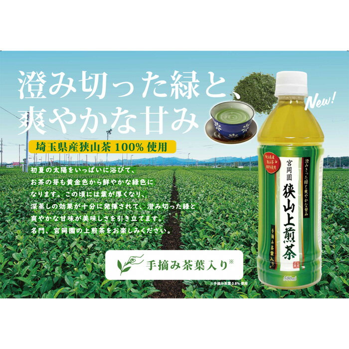 【ふるさと納税】No.332 狭山上煎茶 500ml ペットボトル／ 茶葉 コク 爽やか 甘み 新茶 送料無料 埼玉県