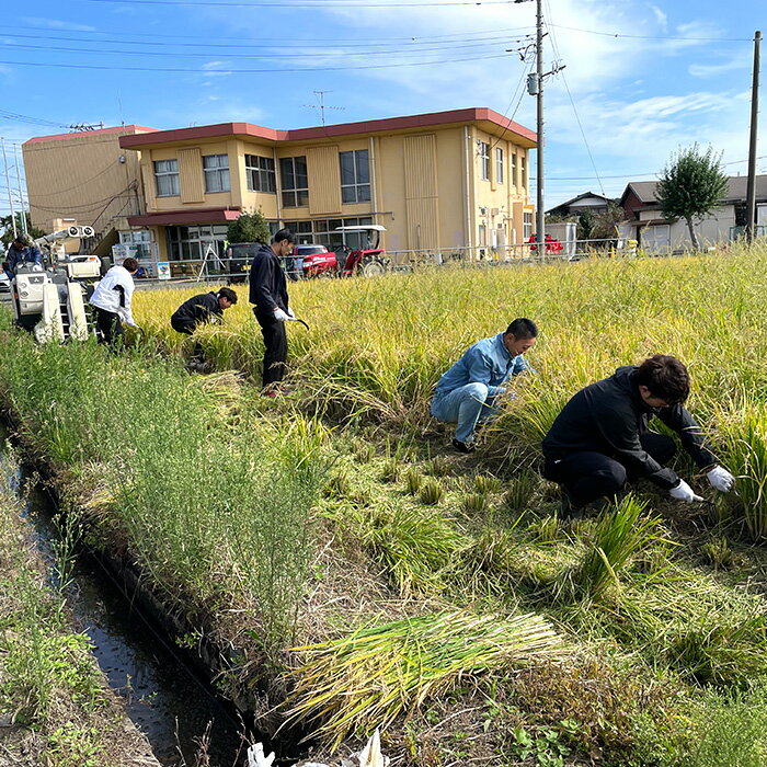 【ふるさと納税】No.359 【令和6年6月23日／10月27日開催】田植え・稲刈りで狭山の地酒「里平」を造る＆届く ／ 田植え 稲刈り 地酒 体験 イベント チケット 送料無料 埼玉県