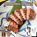 【ふるさと納税】No.361 【市制施行70周年記念】ねぎしセット 計12袋 ／ 肉 牛タン しろたん 送料無料 埼玉県