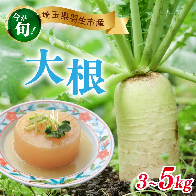 大根 3~5kg 数量限定 期間限定 野菜 だいこん 煮物 鍋 漬物 葉 根菜 大根おろし サラダ daikon yasai 国産 ベジタブル 冬野菜 産地直送 萩原農園 埼玉県 羽生市