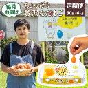 【ふるさと納税】 【定期便6回】こだわり たまご 30個 (10個×3パック) 新鮮 平飼い 卵 埼玉県 羽生市 送料無料