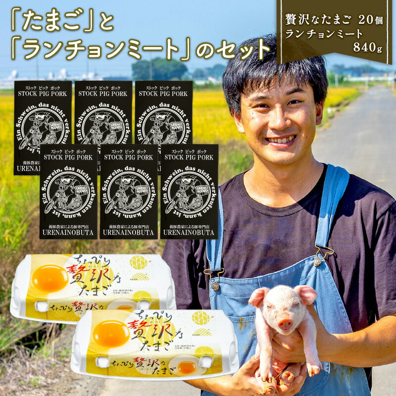 たまご と ランチョンミート セット 卵 20個 スパム 缶詰 840g 新鮮 平飼い ストックピックポック 豚肉 国産 肉 埼玉県 羽生市 送料無料