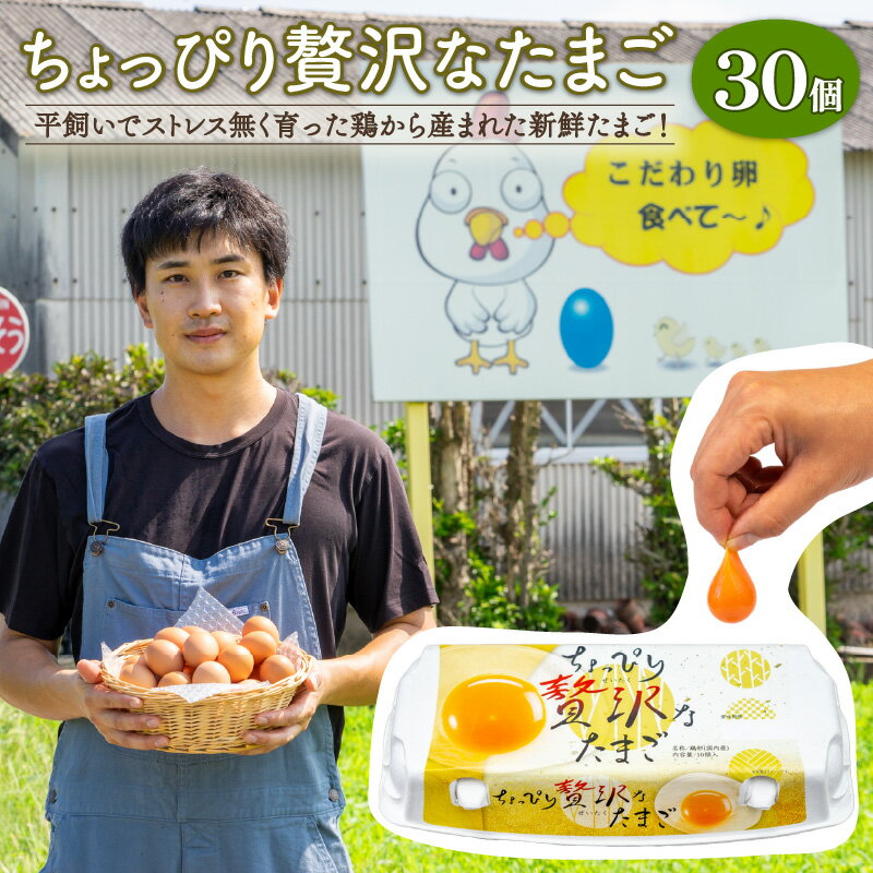 14位! 口コミ数「0件」評価「0」 こだわり たまご 30個 (10個×3パック) 新鮮 平飼い 卵 埼玉県 羽生市 送料無料