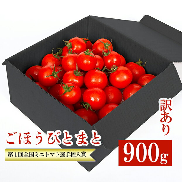 6位! 口コミ数「3件」評価「5」訳あり トマト 高糖度 甘い 900g フルーツトマト ミニトマト 野菜 果物 濃厚 産地直送 とれたて 徳用 大きさ不揃い アンチエイジン･･･ 