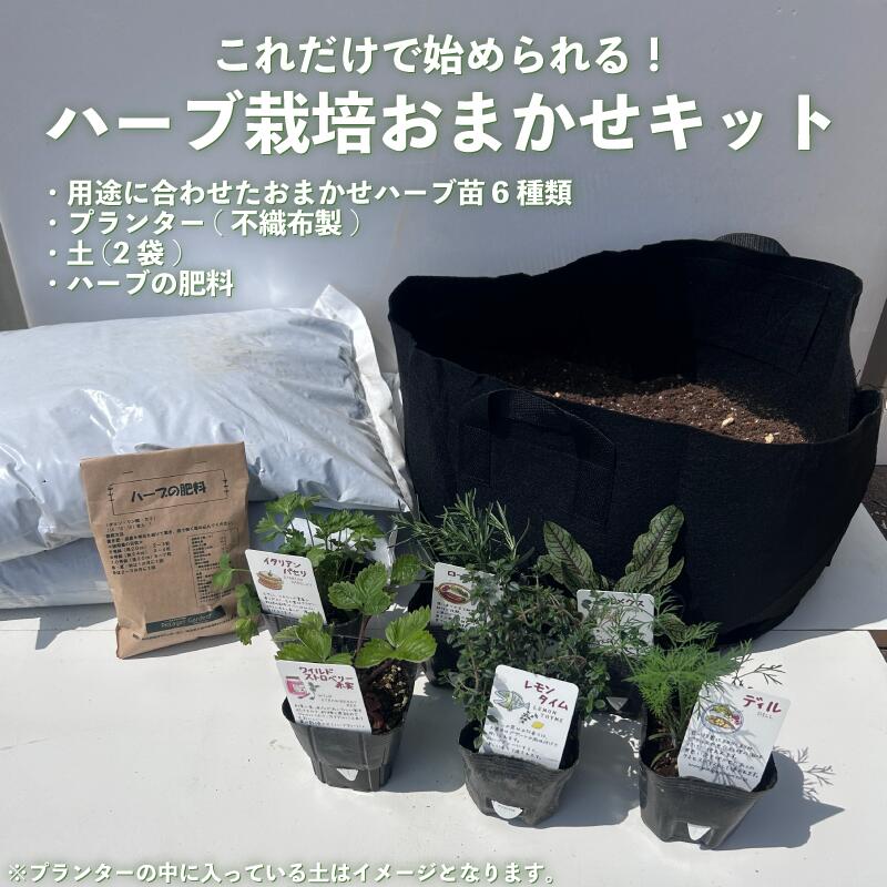 埼玉県羽生市の画像2