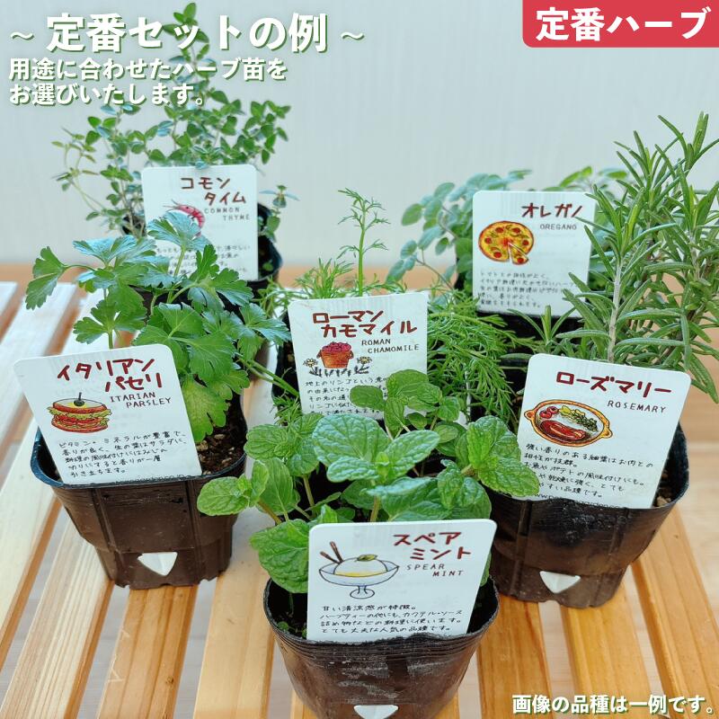 埼玉県羽生市の画像3