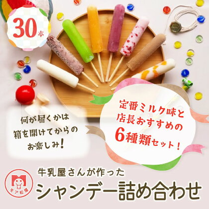 アイスキャンディー 詰め合わせ 6種 30本 セット モア松屋のシャンデー 店長おすすめ！ キャンディー アイス 氷菓子