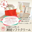 【ふるさと納税】 ソフトクリーム 6個 スイーツ デザート 個包装 手作り 卵 保存料 不使用 おやつ 小分け アイスクリーム ギフト プレゼント 牛乳屋さんが...