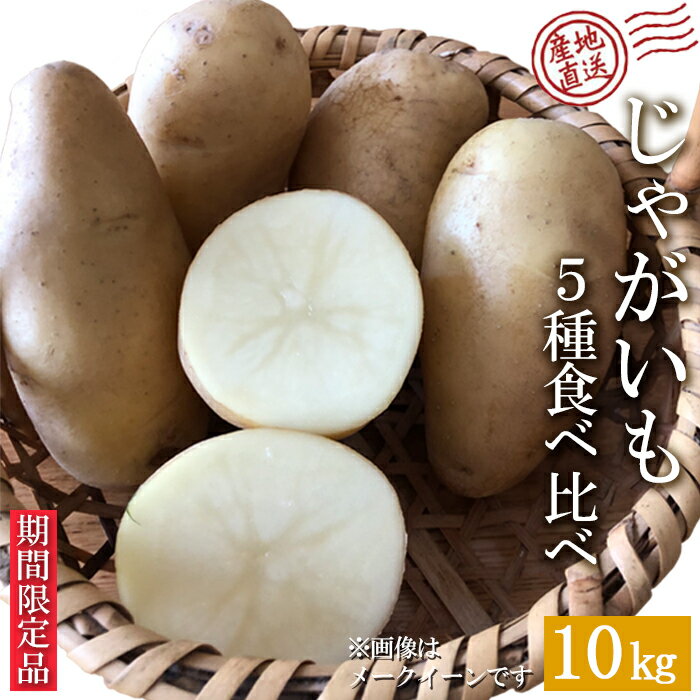 【ふるさと納税】【埼玉県羽生市産】産地直送じゃがいも5種 10kg＜数量・期間限定＞のサムネイル