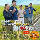 【ふるさと納税】 【予約】令和6年産 彩のきずな 玄米 30kg お米 特A 埼玉県 ブランド米 羽生市 米 おこめ