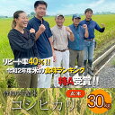  令和6年産 コシヒカリ 玄米 30kg お米 特A 埼玉県 ブランド米 羽生市 米 おこめ