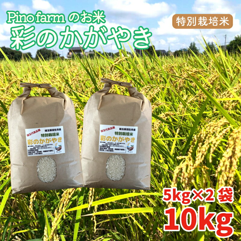 【ふるさと納税】 彩のかがやき 10kg 令和5年 2023年 特別栽培米 pino farm ブランド米 お米 おこめ