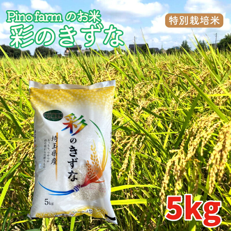 【ふるさと納税】 彩のきずな 5kg 令和5年 2023年 特別栽培米 pino farm ブランド米 お米 おこめ