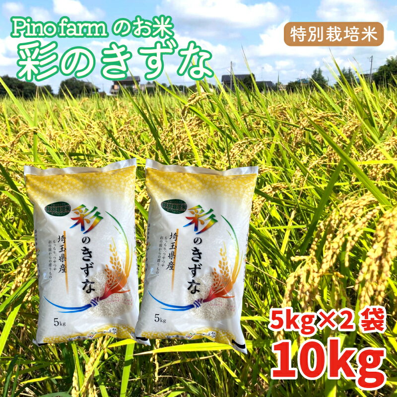 【ふるさと納税】 彩のきずな 10kg 令和5年 2023年 特別栽培米 pino farm ブランド米 お米 おこめ