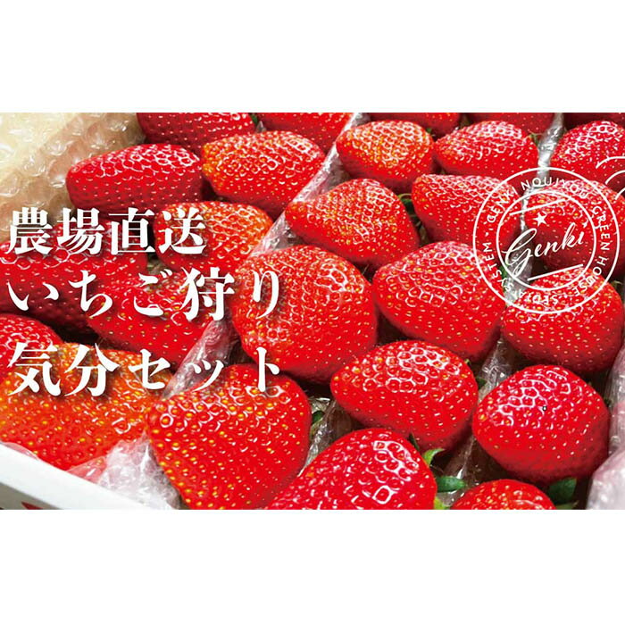 【ふるさと納税】 おまかせ いちご 2種セット 800g 大容量 紅ほっぺ かおり野 よつぼし やよい姫 苺 ストロベリー フルーツ くだもの 果物 デザート 冷蔵 食品 ロコファームHANYU