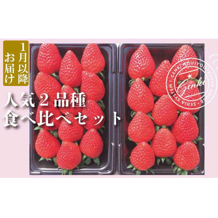 【ふるさと納税】 いちご 560g 食べ比べ 2種類 朝採れ 産地直送 かおり野 よつぼし 紅ほっぺ 恋みのり