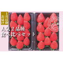 【ふるさと納税】 いちご 560g 食べ比べ 2種類 朝採れ 産地直送 かおり野 よつぼし 紅ほっぺ 恋みのり