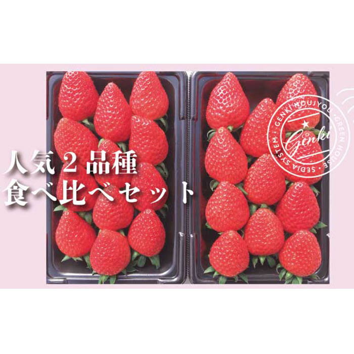 【ふるさと納税】 いちご 560g 食べ比べ 2種類 朝採れ 産地直送 かおり野 よつぼし 紅ほっぺ 恋みのり