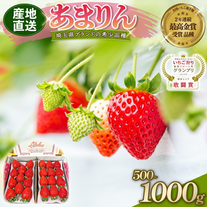【ふるさと納税】 【予約】 あまりん 全国いちご選手権 3年連続最高金賞 選べる容量 500g 1000g いちご 苺 ストロベリー 産地直送 ご当地 果物 くだもの フルーツ デザート 食品 冷蔵 ロコファーム 埼玉県 羽生市のサムネイル