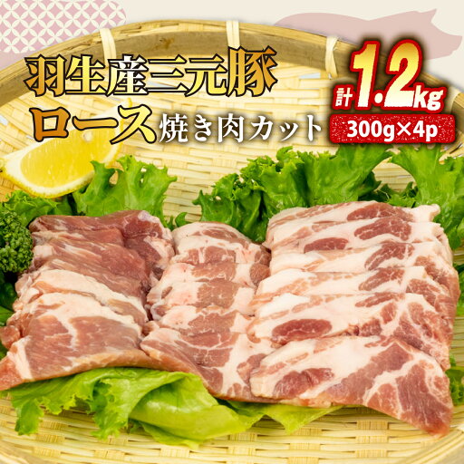 【ふるさと納税】 ロース 焼き肉 カット 1.2kg ( 300g × 4P ) 国産 三元豚 冷凍 真空 小分け 個包装 たっぷり 大容量 大きめ 厚切り 豚肉 豚 ブタ ポーク ジューシー お弁当 おかず 惣菜 晩ごはん 贅沢 ギフト お中元 御中元 贈り物 贈答 埼玉県 羽生市 【ふるさと納税】 ロース 焼き肉 カット 1.2kg ( 300g × 4P ) 国産 三元豚 冷凍 真空 小分け 個包装 たっぷり 大容量 大きめ 厚切り 豚肉 豚 ブタ ポーク ジューシー お弁当 おかず 惣菜 晩ごはん 贅沢 ギフト お中元 御中元 贈り物 贈答 埼玉県 羽生市
