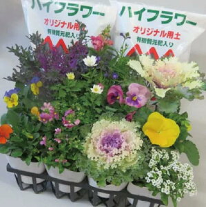 【ふるさと納税】 寄せ植え 季節のお花 12 ポット 用土 鉢 付き プレゼント 日用品 園芸 花苗 おすすめ セット ガーデニング 季節 お花 贈り物 10000円