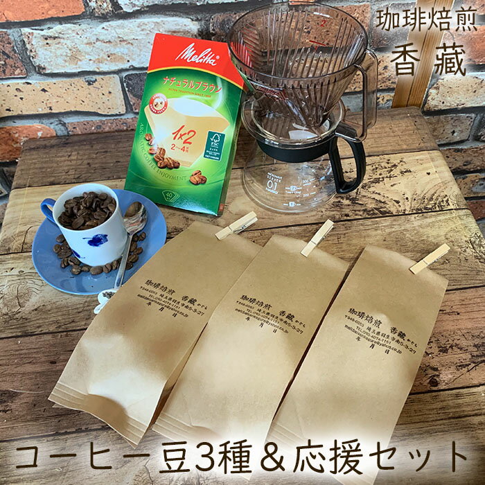 【ふるさと納税】 コーヒー コーヒー豆 ドリッパー ポット フィルター セット 珈琲 珈琲豆 バリスタ こだわり 300g