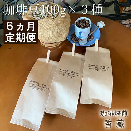 定期便 6回 コーヒー 豆 100g 3種類 毎月お届け おまかせ バラエティー セット