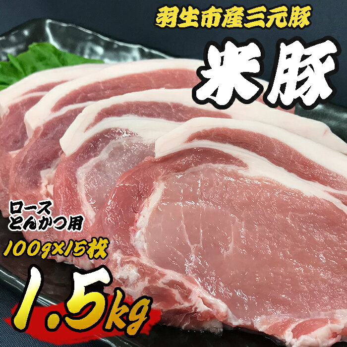 【ふるさと納税】 豚肉 三元豚 1.5kg (100g×15) 間中さん家 米豚 ロース とんかつ トンテキ ステーキ ..