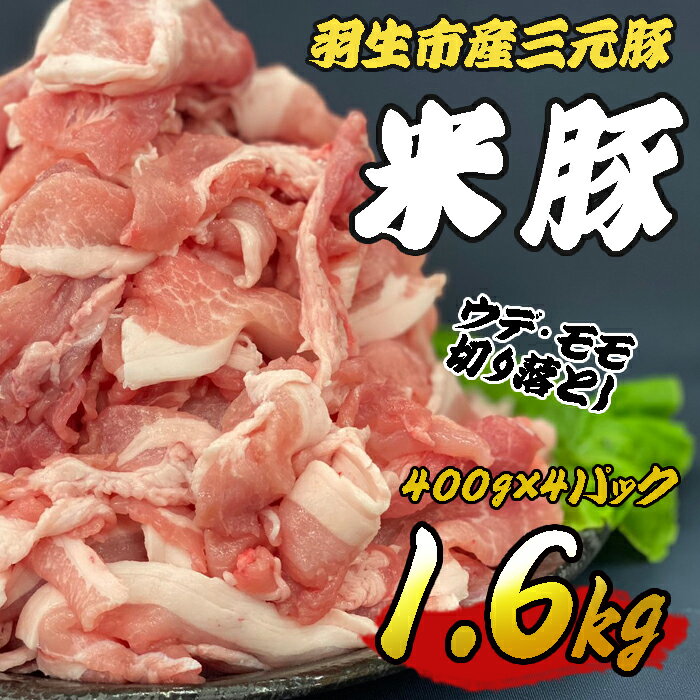 24位! 口コミ数「2件」評価「5」 豚肉 三元豚 切り落とし 1.6kg 400g 4パック ウデ モモ 間中さん家 米飼料 ビフィズス菌 使用 豚肉 肉 精肉 まとめ買い ･･･ 