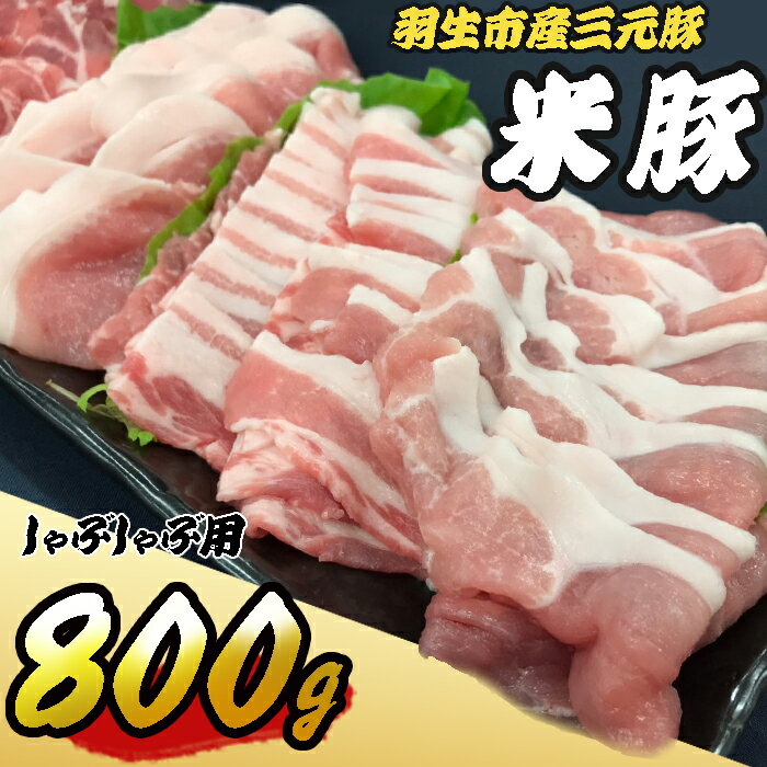 【ふるさと納税】 しゃぶしゃぶ セット 800g 国産ポーク