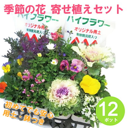 寄せ植え 季節のお花 12 ポット 用土 鉢 付き プレゼント 日用品 園芸 花苗 おすすめ セット ガーデニング 季節 お花 贈り物 10000円