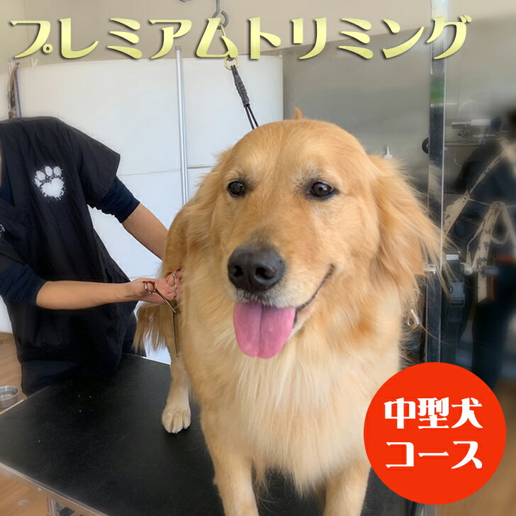 【ふるさと納税】 体験 ペット トリミング 大型犬 プレミアム コース Mahalo DOG