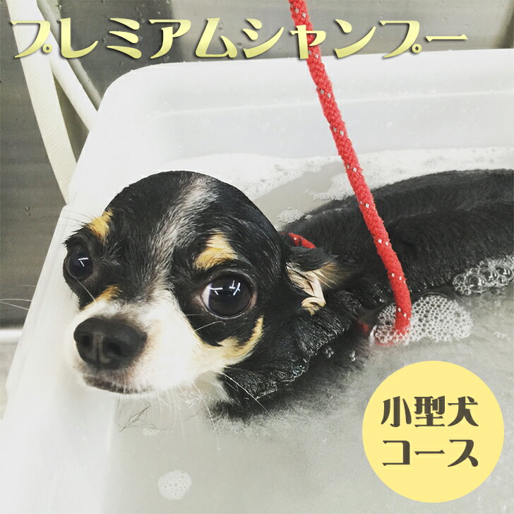 3位! 口コミ数「0件」評価「0」 プレミアムシャンプーコース ?小型犬コース? ペット シャンプー ドッグ 家族 犬用 ペット用 Mahalo DOG