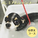  プレミアムシャンプーコース ?小型犬コース? ペット シャンプー ドッグ 家族 犬用 ペット用 Mahalo DOG