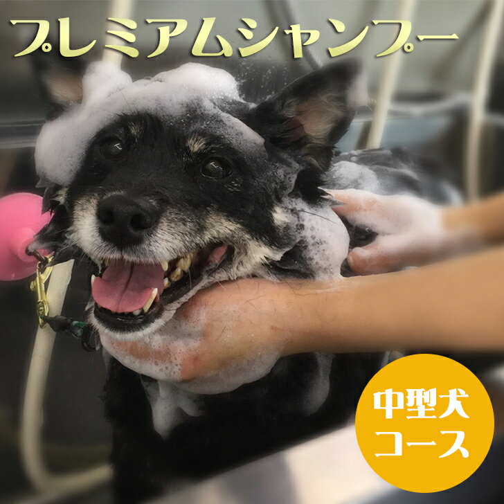 1位! 口コミ数「0件」評価「0」 プレミアムシャンプーコース　?中型犬コース? ペット Mahalo DOG