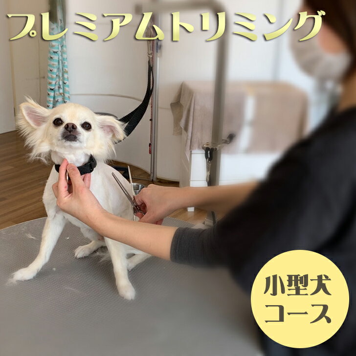 【ふるさと納税】 チケット ペット用品 愛犬 シャンプー Mahalo DOG プレミアムトリミングコース 小型犬コース ペット シャンプー