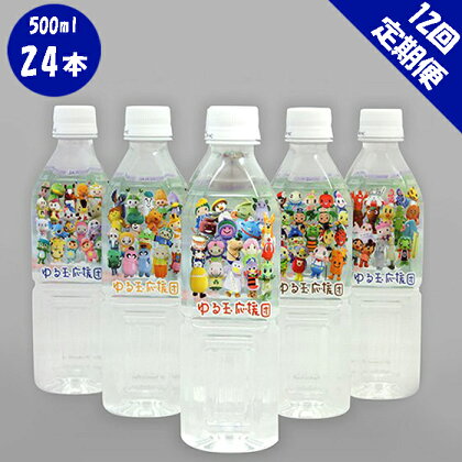 【12回定期便】<ゆる玉応援団コラボ商品>秩父源流水 24本
