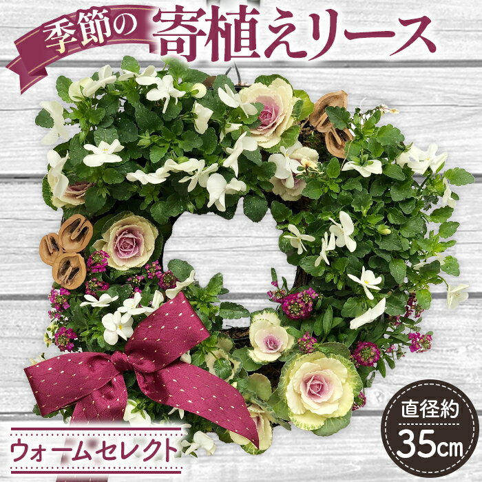 [季節の寄植えリース]ウォームセレクト*花工房すなが*[No.147]