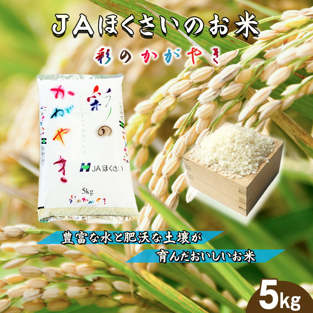鴻巣市産「彩のかがやき」5kg / 令和7年産 新米 2025年産 米 精米 お米 5キロ ご飯 ブランド米 美味しい さっぱり 甘み 送料無料 埼玉県[No.568]
